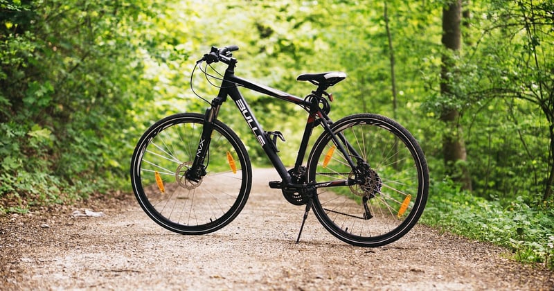 Les meilleurs itinéraires de vélo de montagne en forêt à ne pas manquer