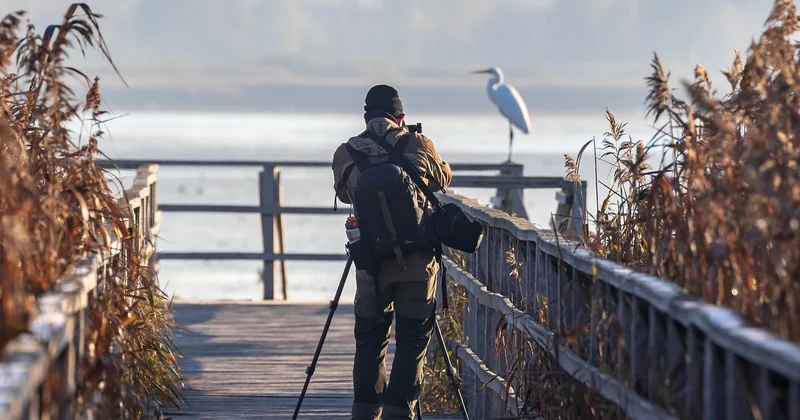 Zones protégées : Natura 2000 et réserves, ce qui change vraiment