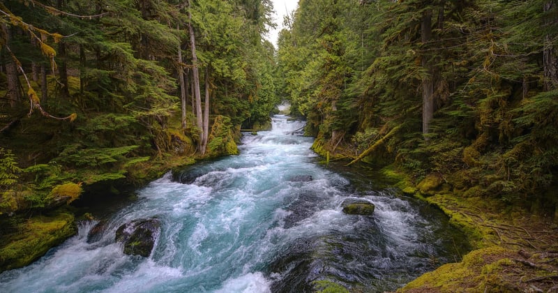 Rivière en eaux vives : le guide complet des équipements et précautions