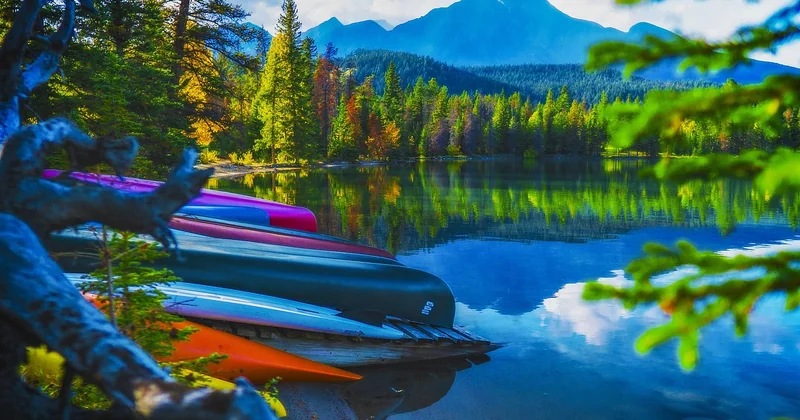 Combien ça coûte et quelles alternatives au camping sauvage ?